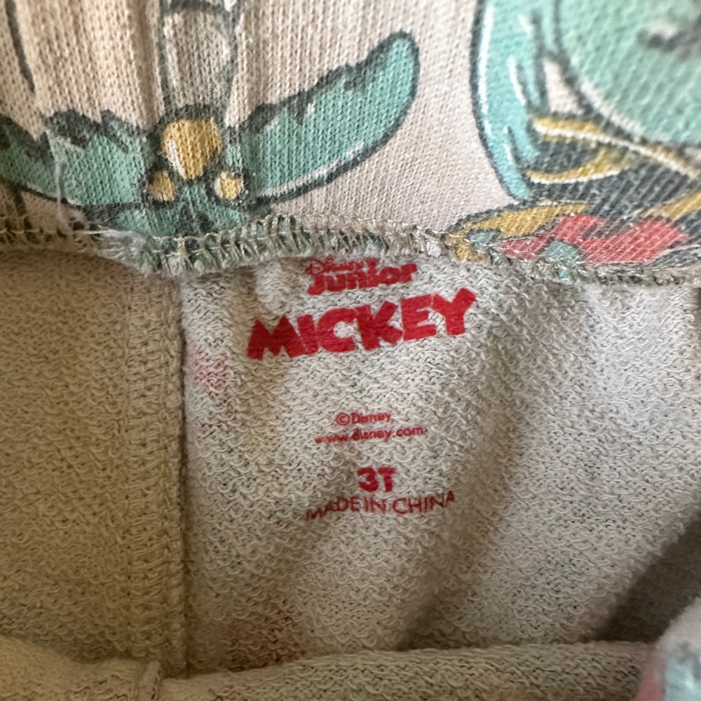 Mickey Mouse T-Shirt and Tropical Shorts Set 3T - Picture 3 of 4